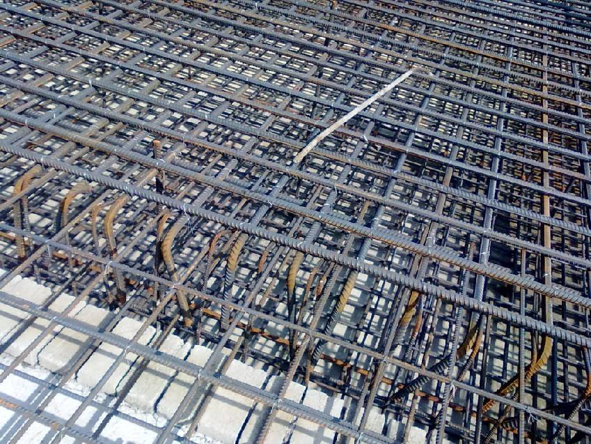 timg (1).jpg timg (1).jpg